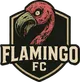 Flamingo FC